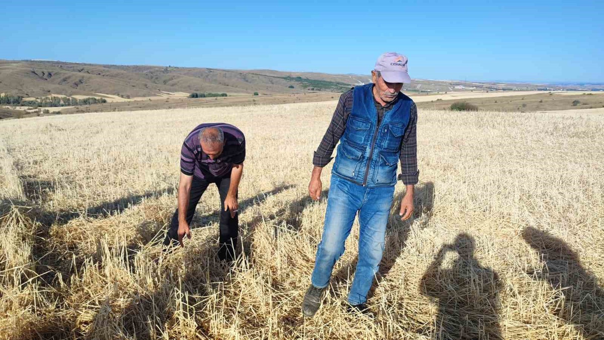 Çalatlı\'da Dolu Felaketi: Tarım Arazileri Zarar Gördü