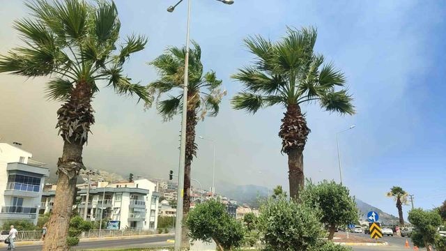 3 ilde orman yangınları büyüyor! Antalya-Kumluca yolu da kapatıldı