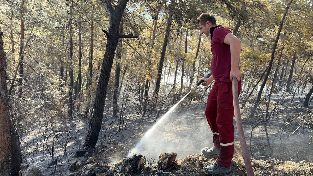 Antalya\'da 2 Günde 12 Yangın Kontrol Altında