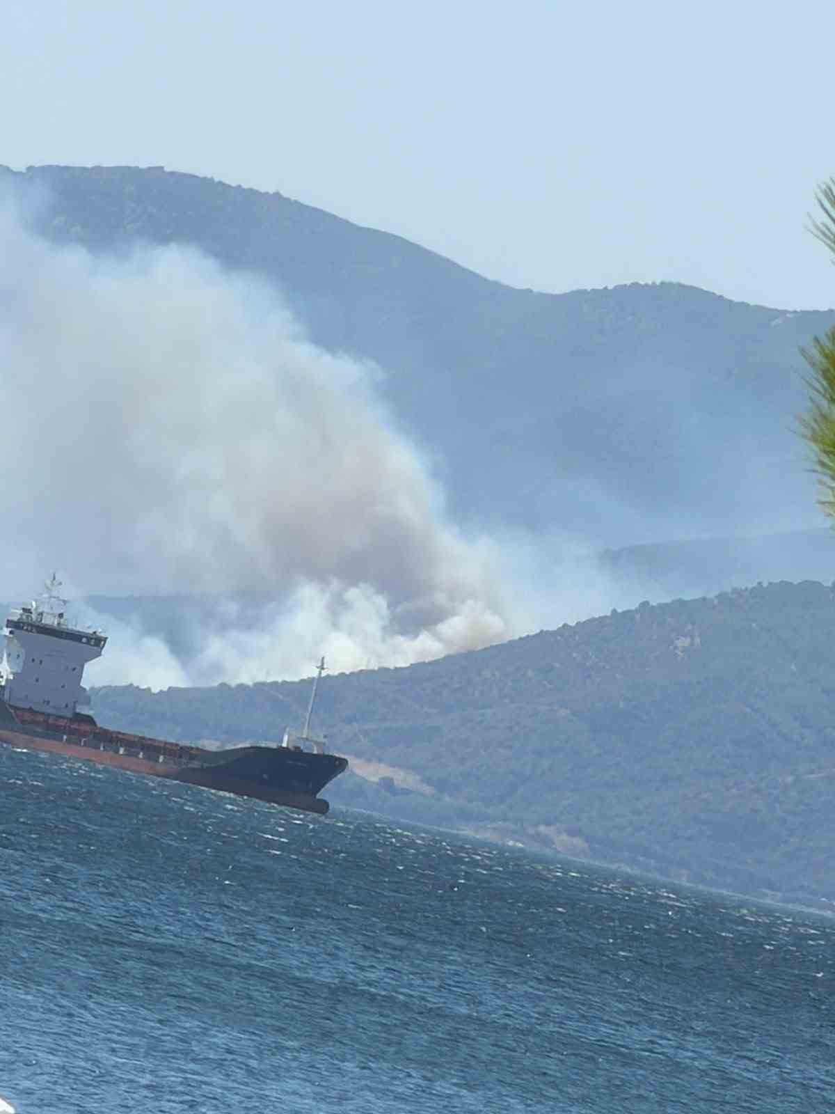 Yalova\'da Orman Yangını