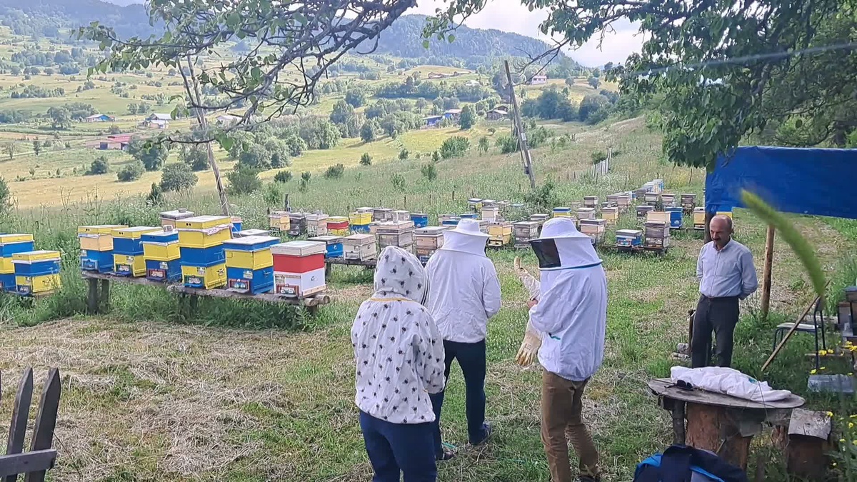 Şavşat Balı: Kalite Var Ama Marka Yok