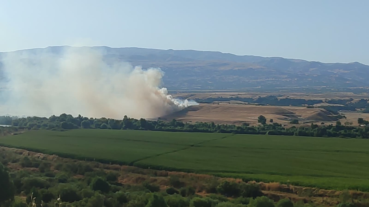 Bingöl\'de Ziraat Yangını Kontrol Altına Alındı