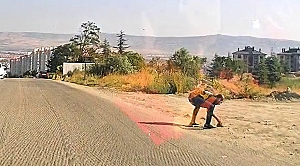 Kaplumbağayı Kurtaran Duyarlı Sürücü