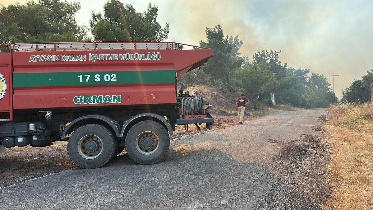 Çanakkale\'de Yangın: Havadan ve Karadan Mücadele