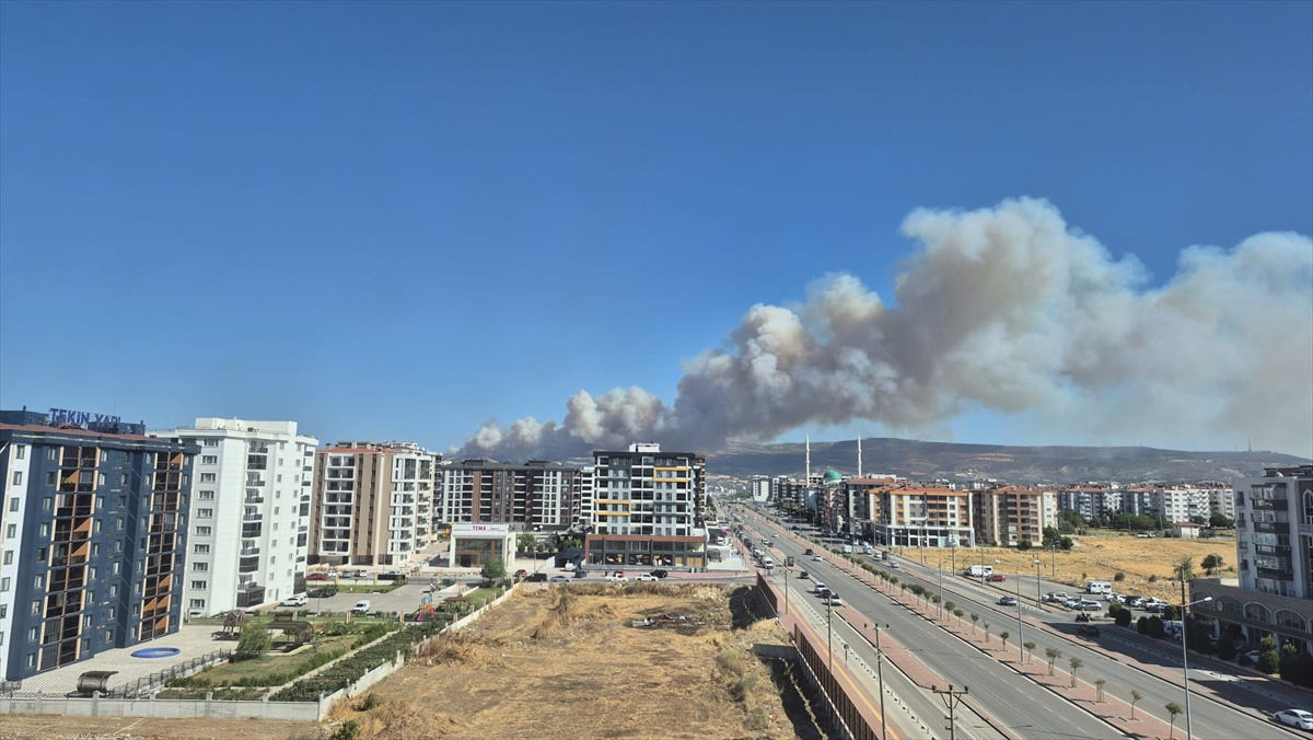 Çanakkale\'de Orman Yangını