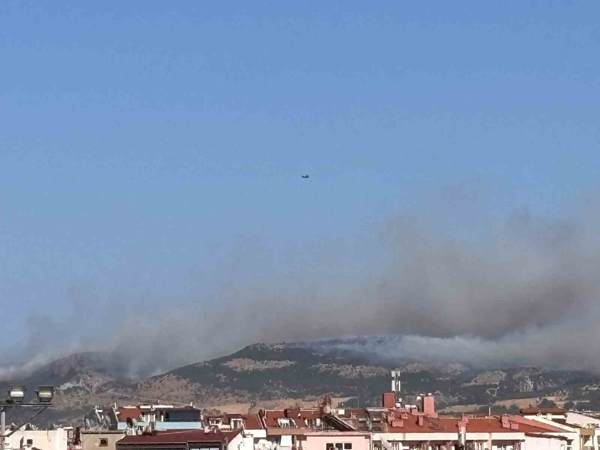 Çanakkale\'de Orman Yangını