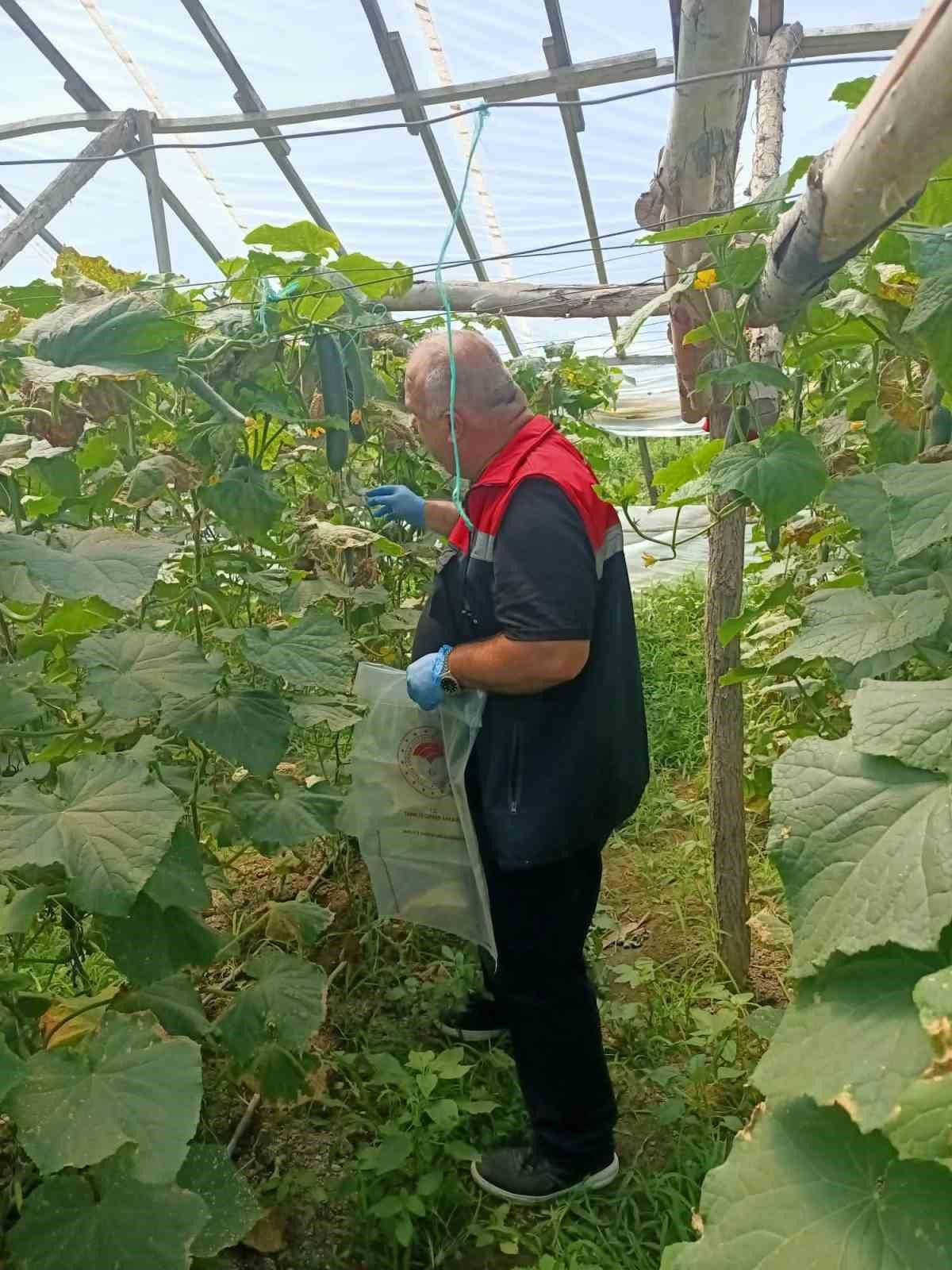 Pestisit Denetimleri Devam Ediyor