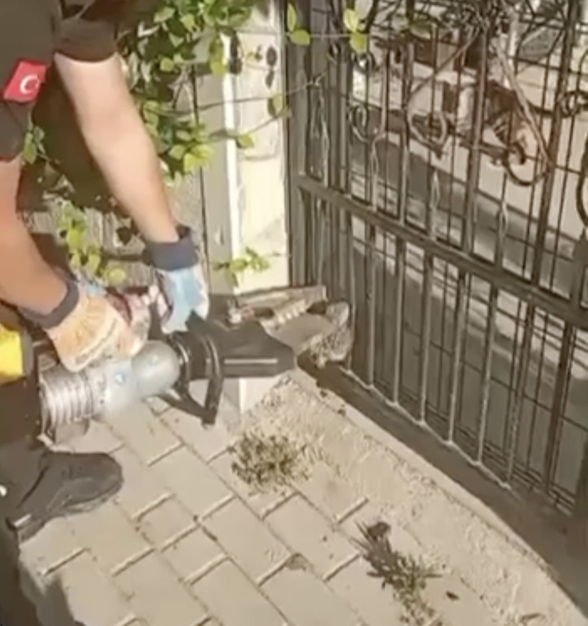 Kayıp Kirpiye İtfaiye Kurtarıcı
