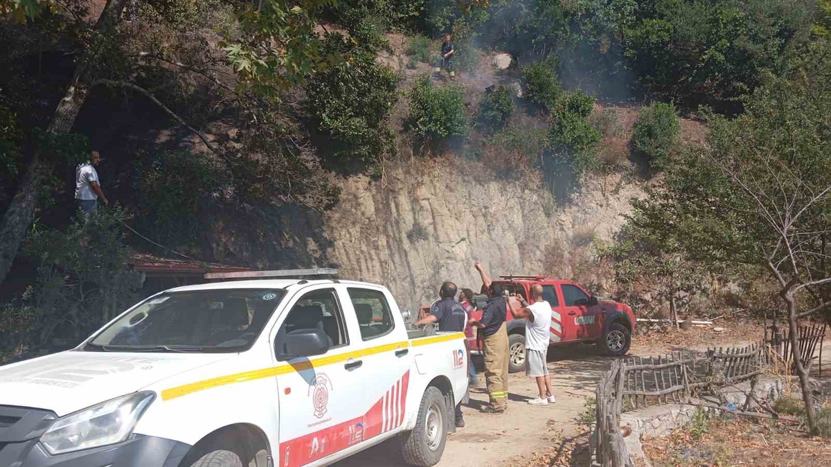 Erdek’te orman yangını ekiplerin ortak çalışmasıyla söndürüldü
