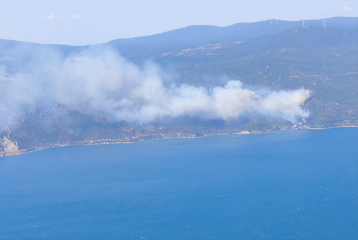 Yalova\'da Orman Yangınına Müdahale