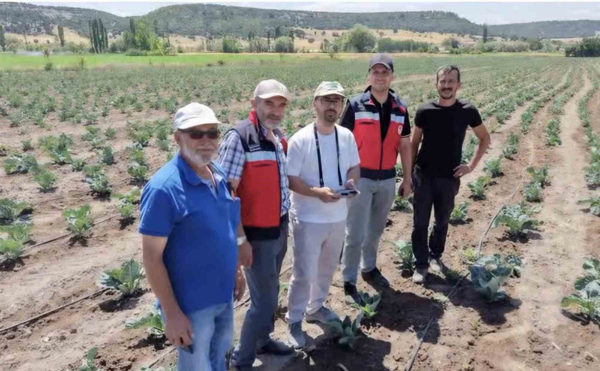Kütahya\'da Tarım Projeleri Kontrol Edildi