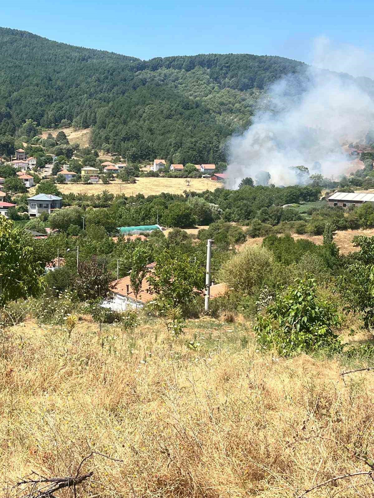 Aydın\'da Ziraat Alanında Yangın Çıktı
