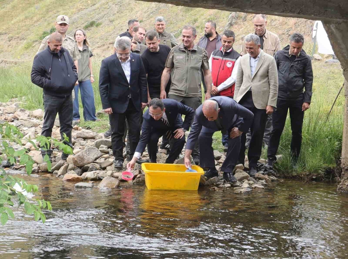 Ordu’da 35 bin doğal alabalık dereye bırakıldı