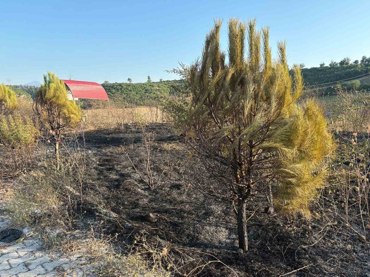 Osmaniye’de mesire alanından çıkan yangın söndürüldü