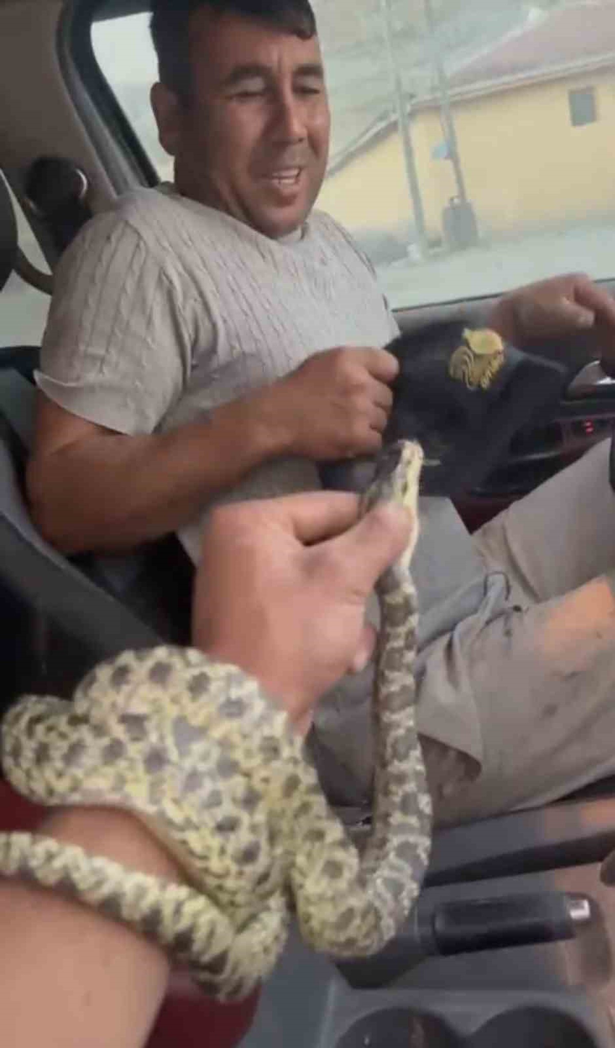 Yılanın Yumurtayı Yutma Anı Kaydedildi