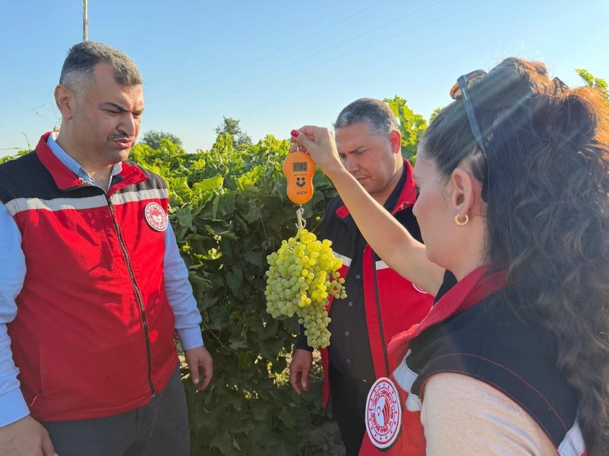 Manisa\'da 2026 Üzüm Rekoltesi İnisiyatifi