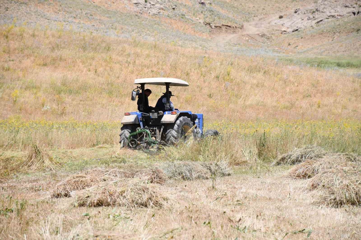 Şırnak Yaylalarında Kış Hazırlığı Başladı