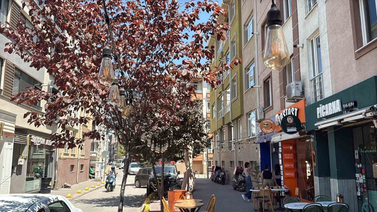 Eskişehir\'de Sokak Ampulü Hırsızlığı