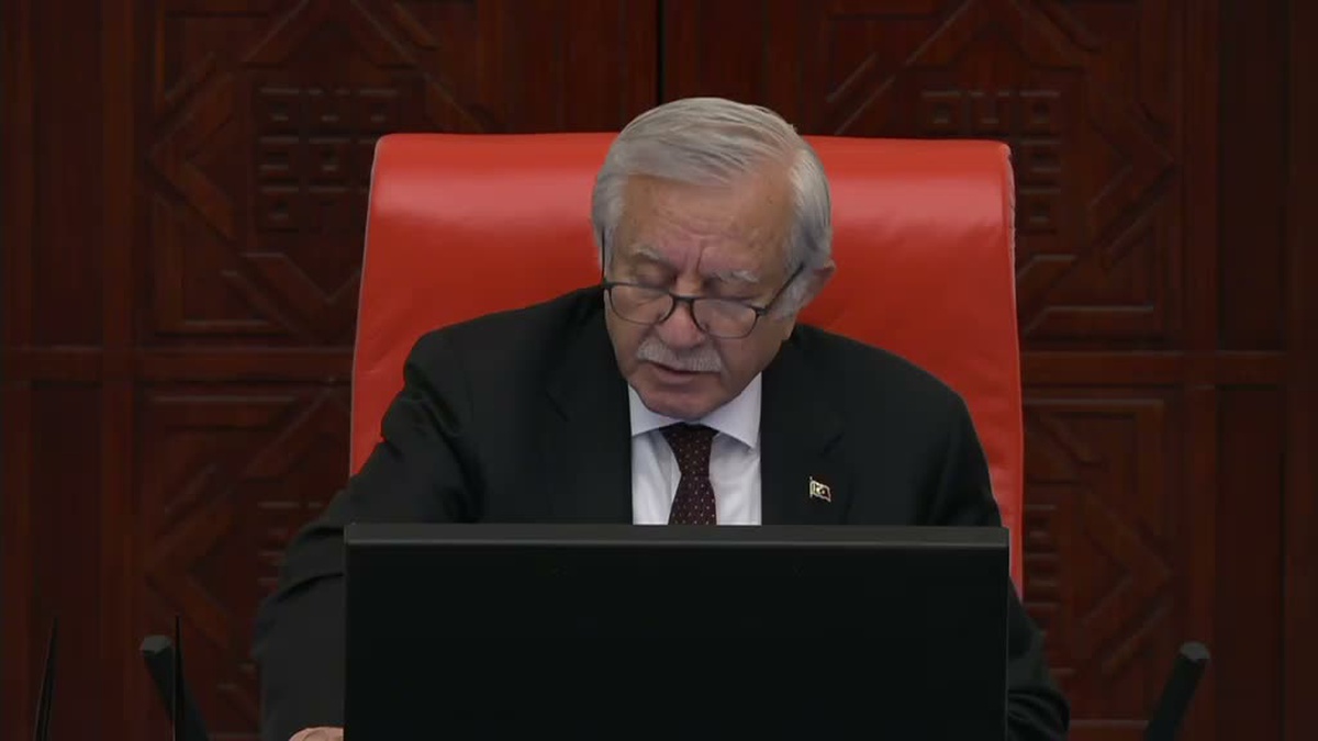 TBMM Genel Kurulu... CHP\'li Salıcı: Milletin vekilinin görmediği bir metinle barışın toplumsallaşabilmesi zordur