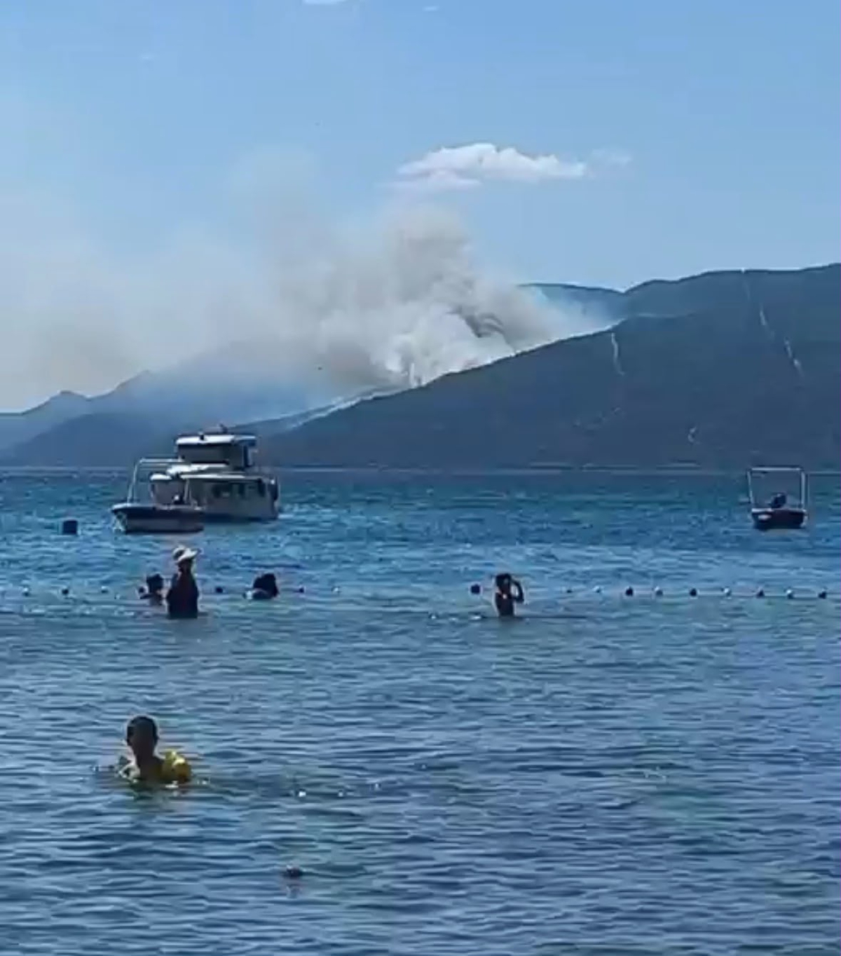 Yalova\'da Orman Yangını