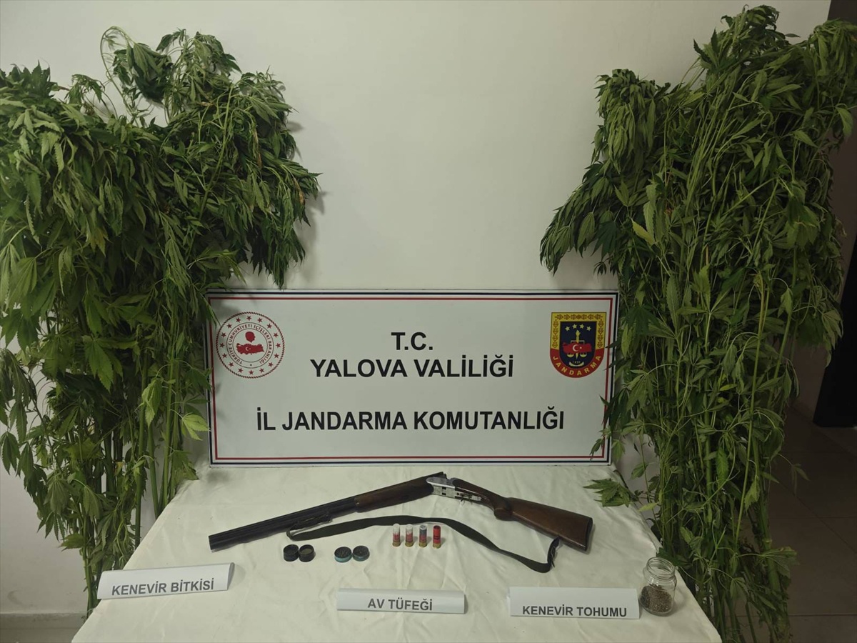 Yalova\'da Uyuşturucu Operasyonu
