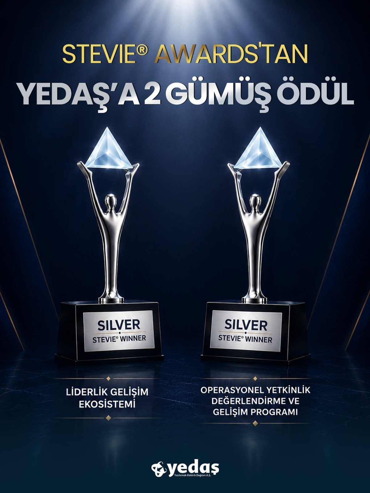 YEDAŞ, Stevie Ödüllerinde İki Gümüş Ödül Kazandı