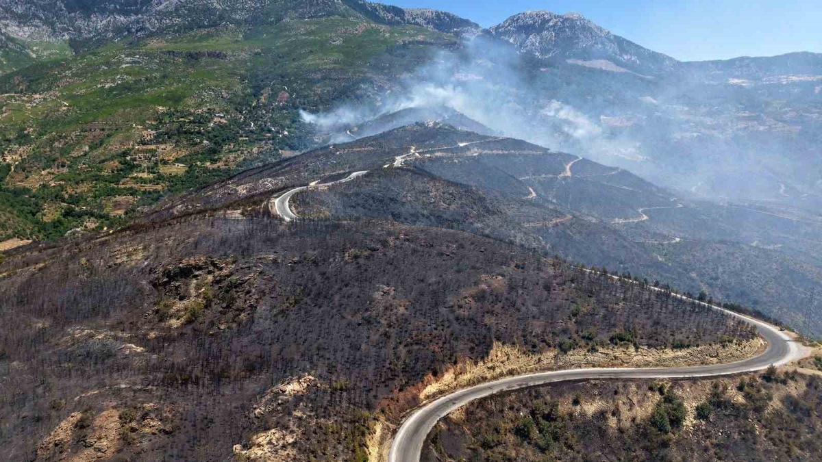 Alanya\'da Orman Yangını: 153 Kişi Tahliye Edildi