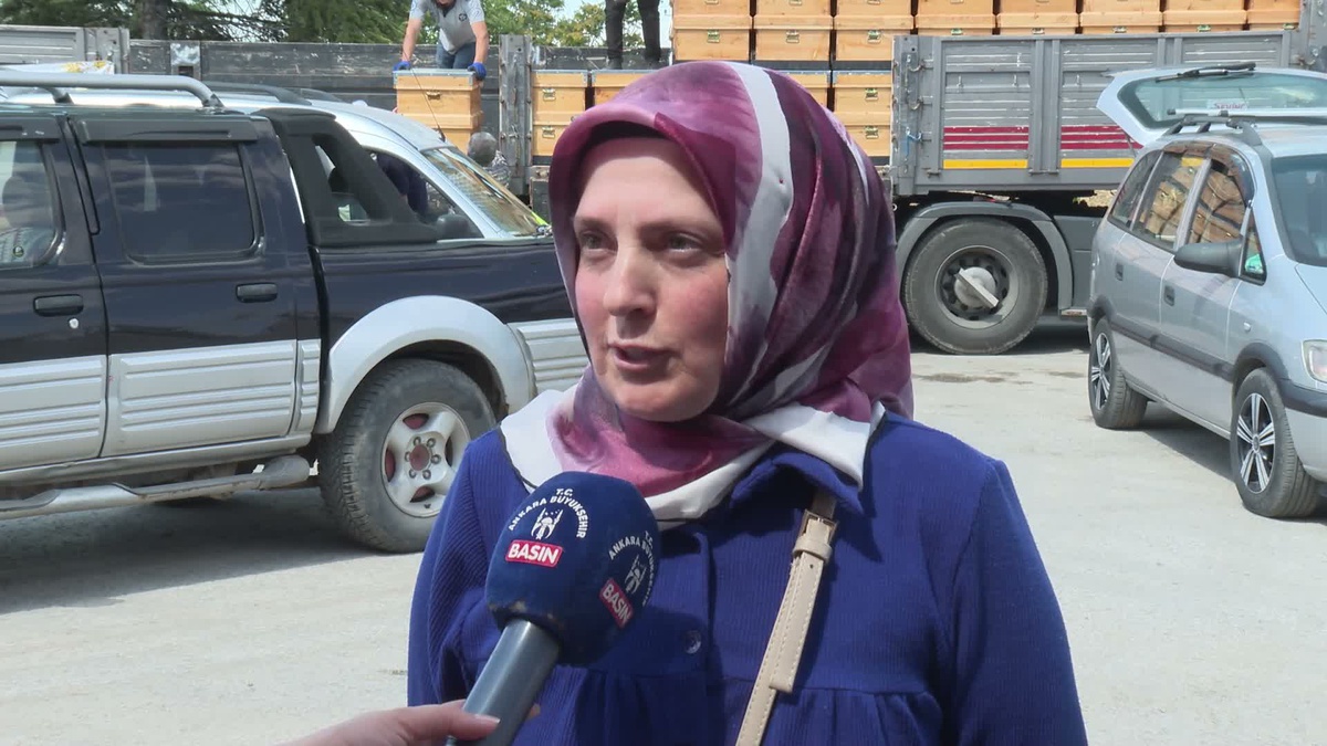 Ankara Büyükşehir Belediyesi’nden arıcılara yüzde 50 hibeli kovan desteği