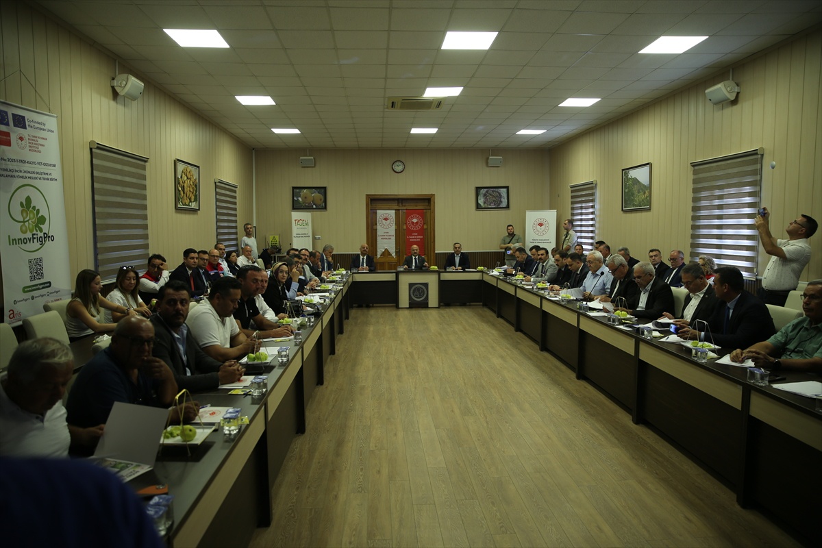 Kuru İncir Denetimleri Genişliyor