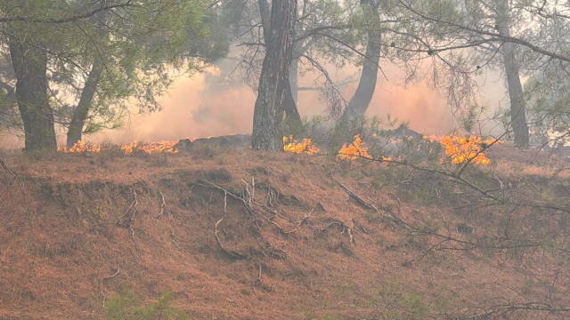 Balıkesir’deki yangın Bergama sınırına ulaştı, gazeteciler alevler arasından zor kurtuldu