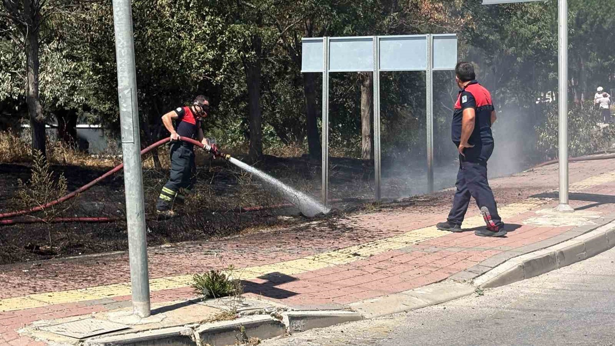 Çanakkale\'de Yangında Mahsur Kalan Köpek Kurtarıldı