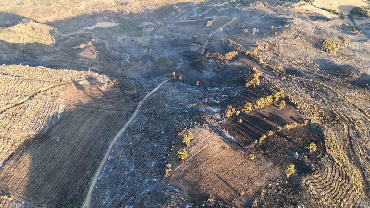 Çanakkale\'de Yangın Kontrol Altına Alındı