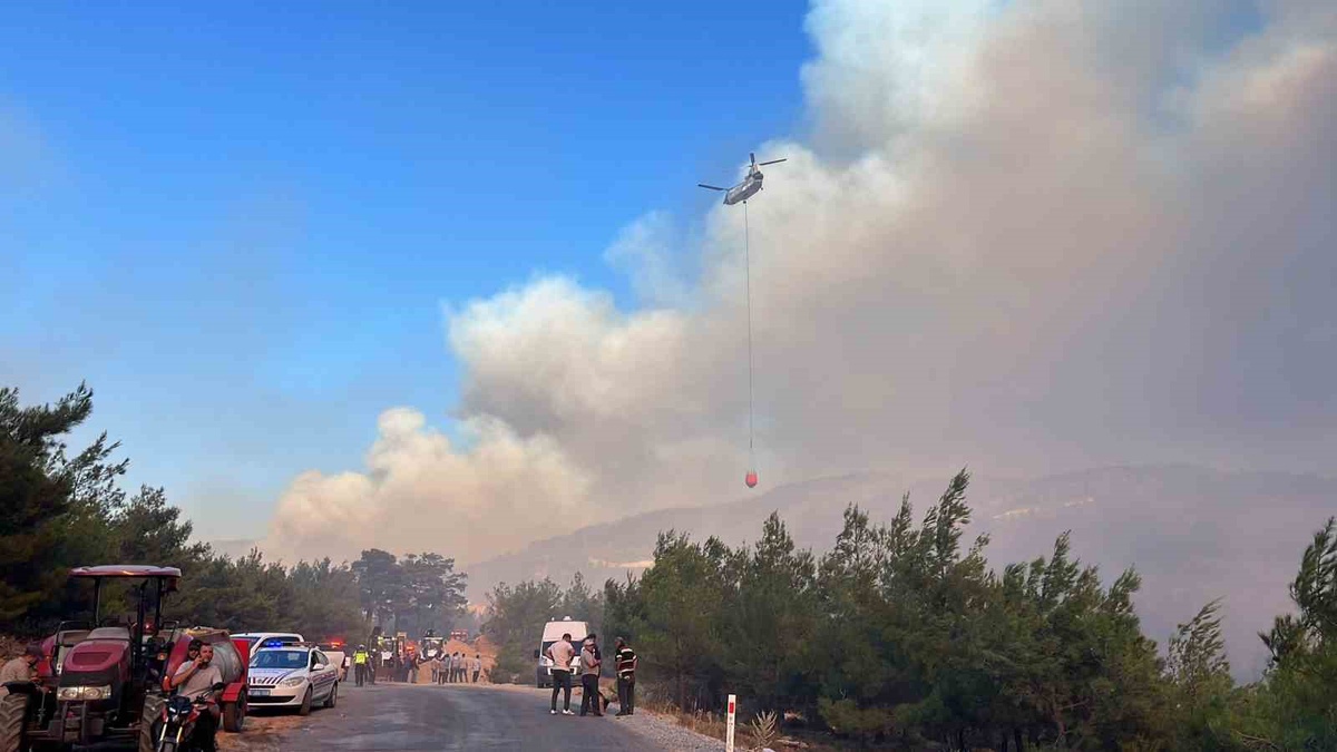 Çine\'de Orman Yangınına Hava ve Karadan Müdahele