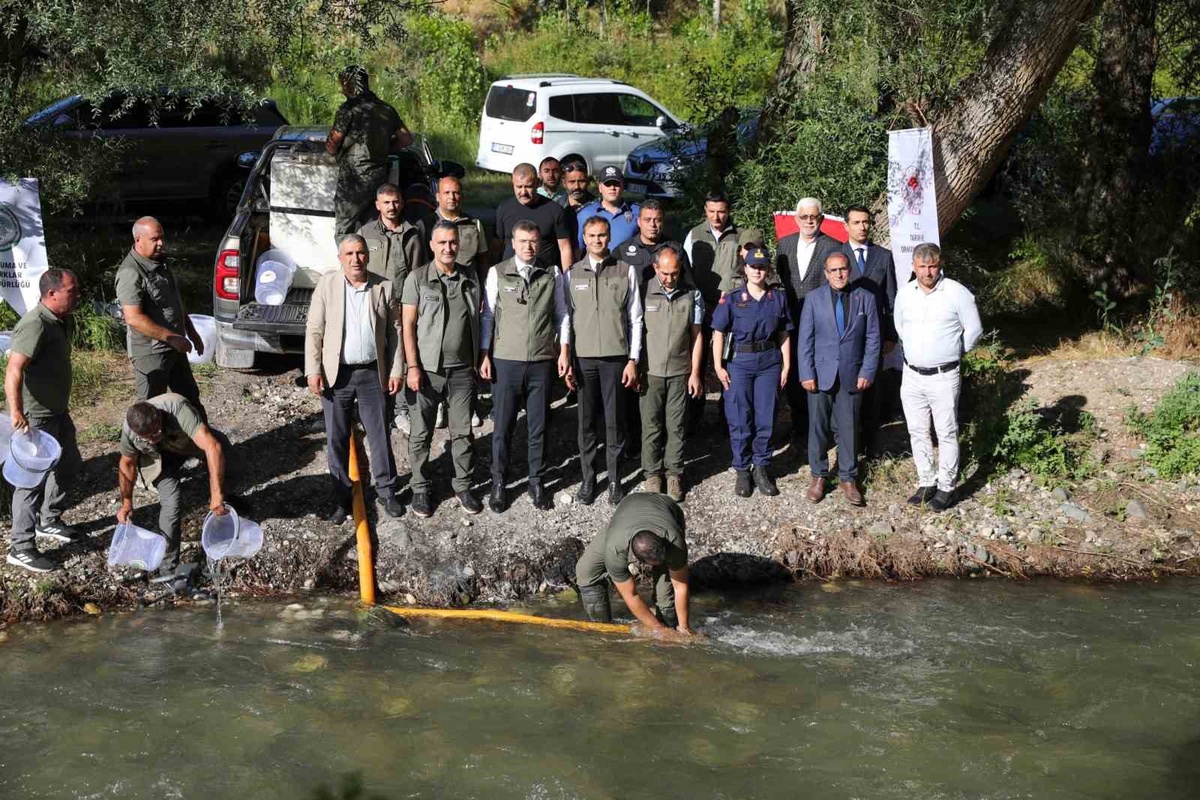 Ecemiş Çayı’na 15 bin alabalık yavrusu bırakıldı