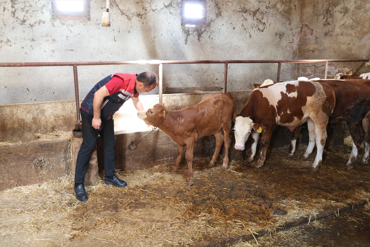 Edirne Müdürü\'nden İşletme Ziyareti
