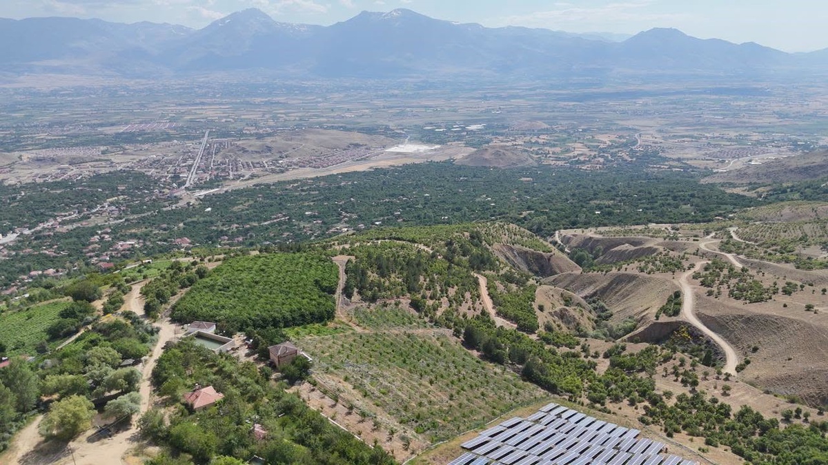 Kiraz Hasadı Üzümlü\'de Devam Ediyor