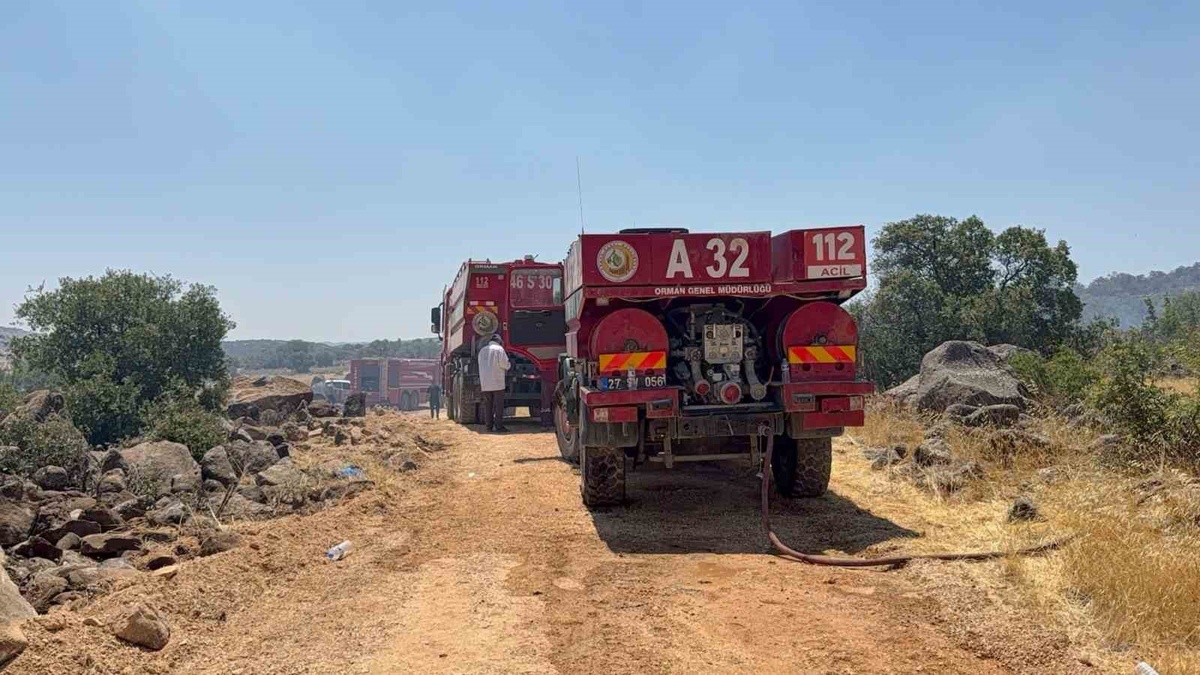 Gaziantep’teki orman yangını kontrol altına alındı