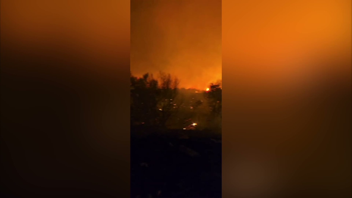 İzmir\'in Dikili ilçesinde çıkan yangına müdahale sürüyor