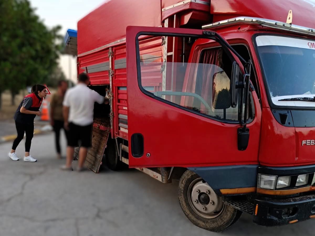 Kırklareli\'nde Kaçak Hayvan Sevkine Ceza