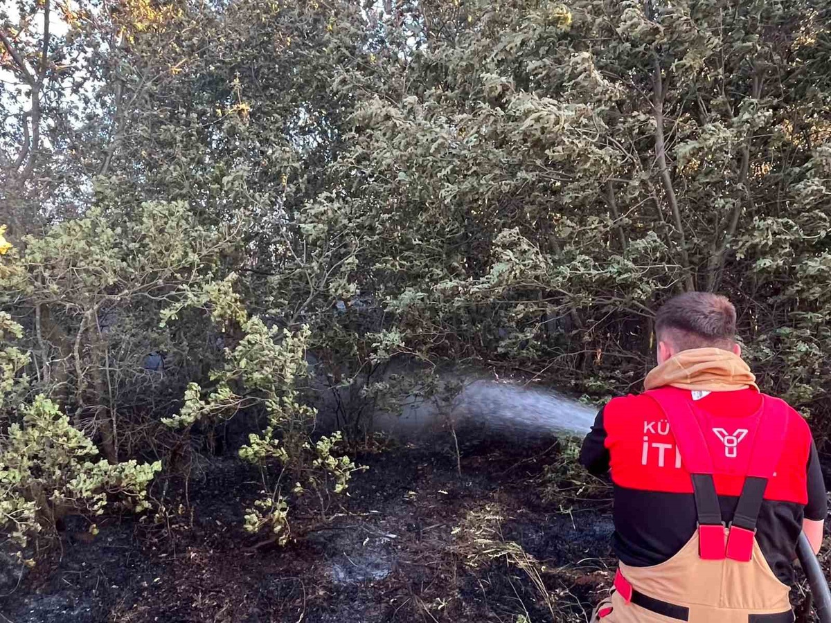 Kütahya OSB İtfaiyesi, Beşkarış ve Aydınlar köyü yangınlarında görev aldı
