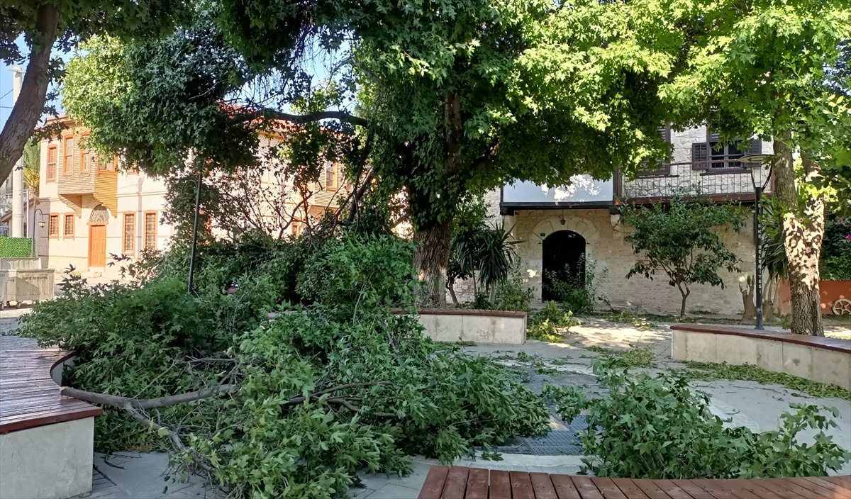 Silifke\'de Kuvvetli Rüzgar Ağaçları Devrildi