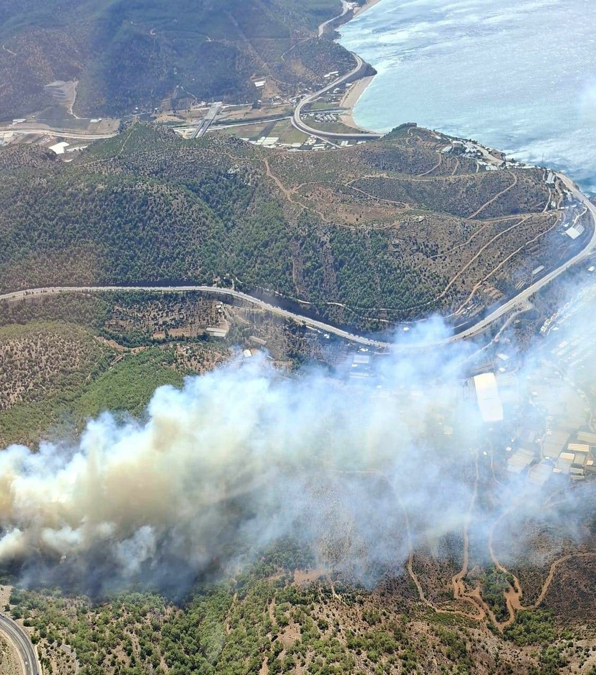 Mersin’de Orman Yangınına Hızlı Müdahale