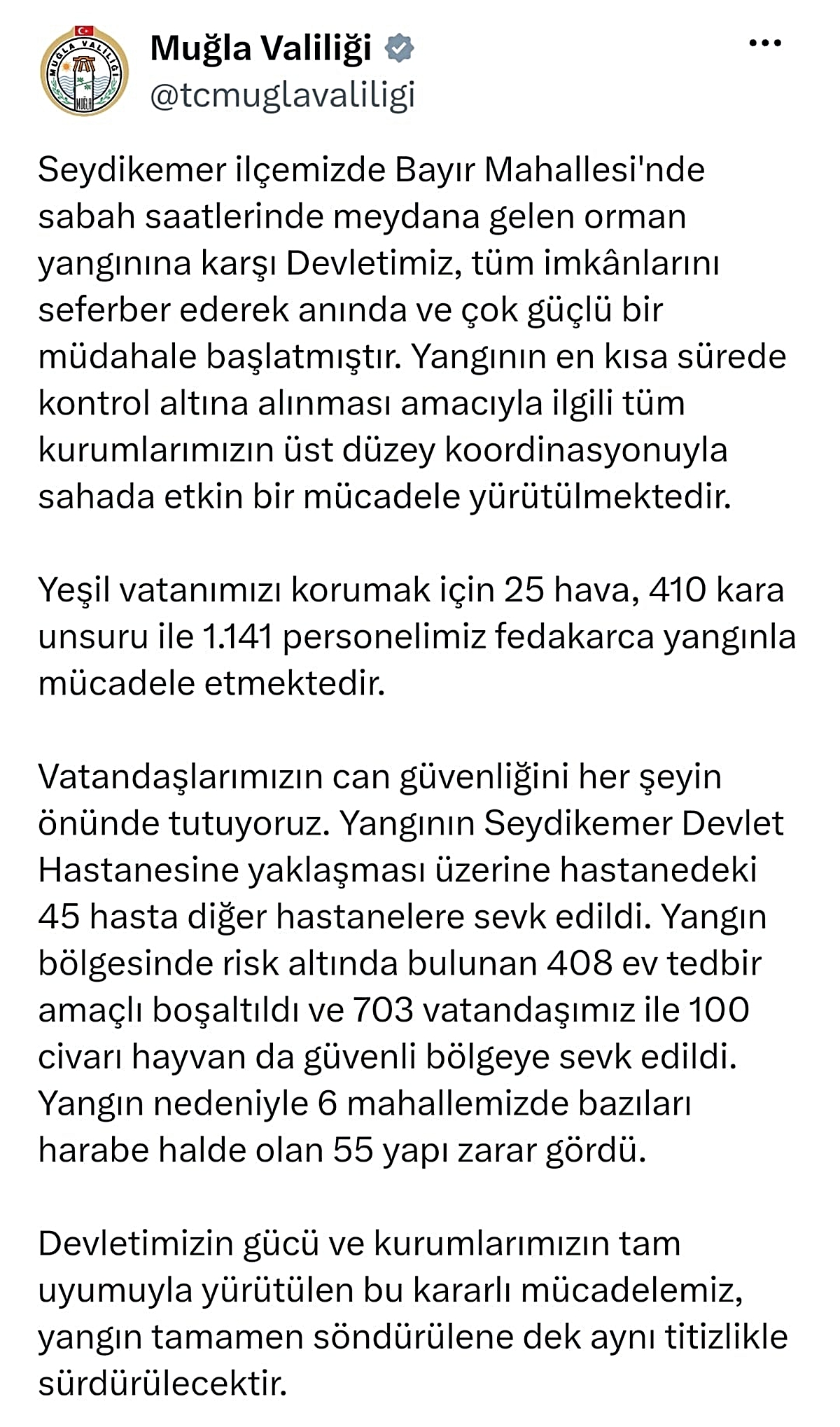 Muğla\'da Orman Yangını: 408 Ev Boşaltıldı