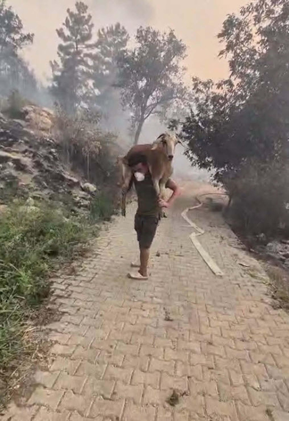 Keçisini Omzunda Taşıdı