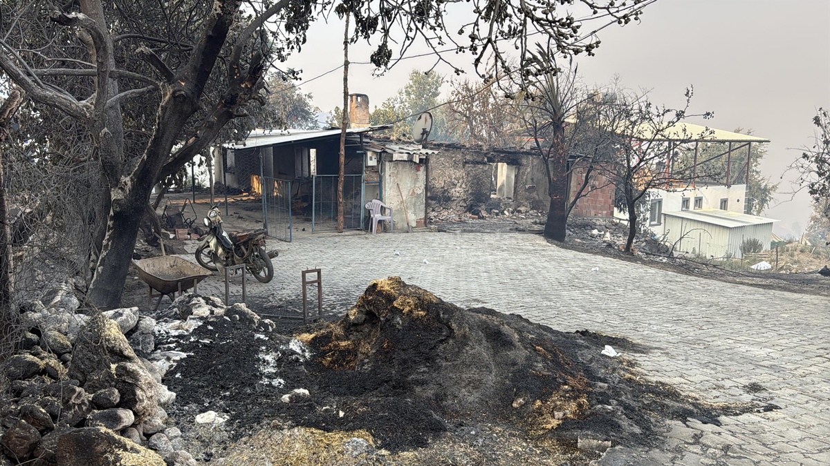 Muğla\'da Orman Yangını: Ev ve Araçlar Yandı