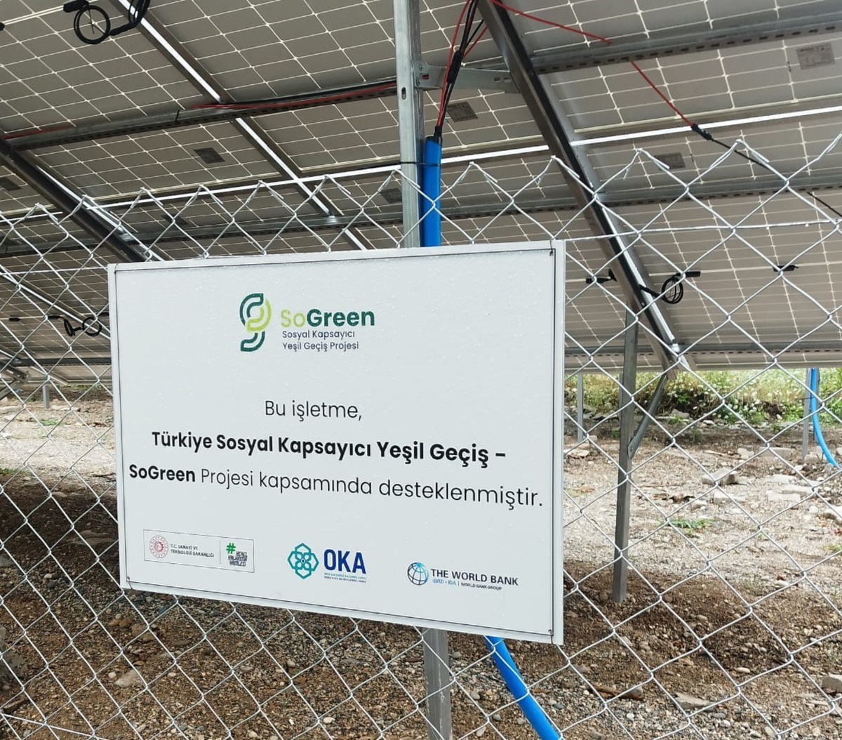 Niksar\'da Sürdürülebilir Ceviz Projesi