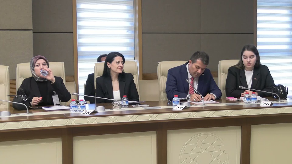 Okul Olaylarını ve Dijital Riskleri Araştırma Komisyonu\'nda öğrenciler konuştu: Bir arkadaşımız zorbalığa, şantaja ve siber zorbalığa uğradığında ne yapacağını bilemiyor
