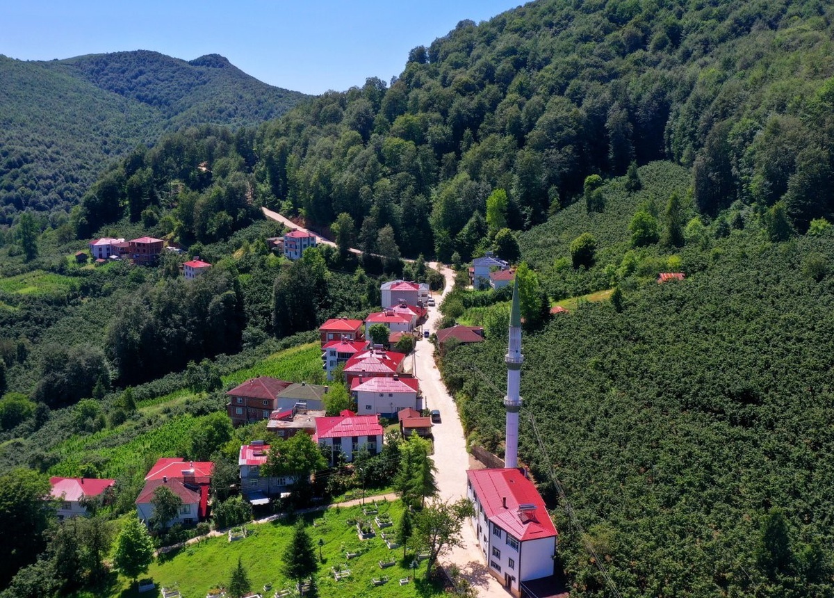 Ordu’nun kırsalında beton yol çalışmaları