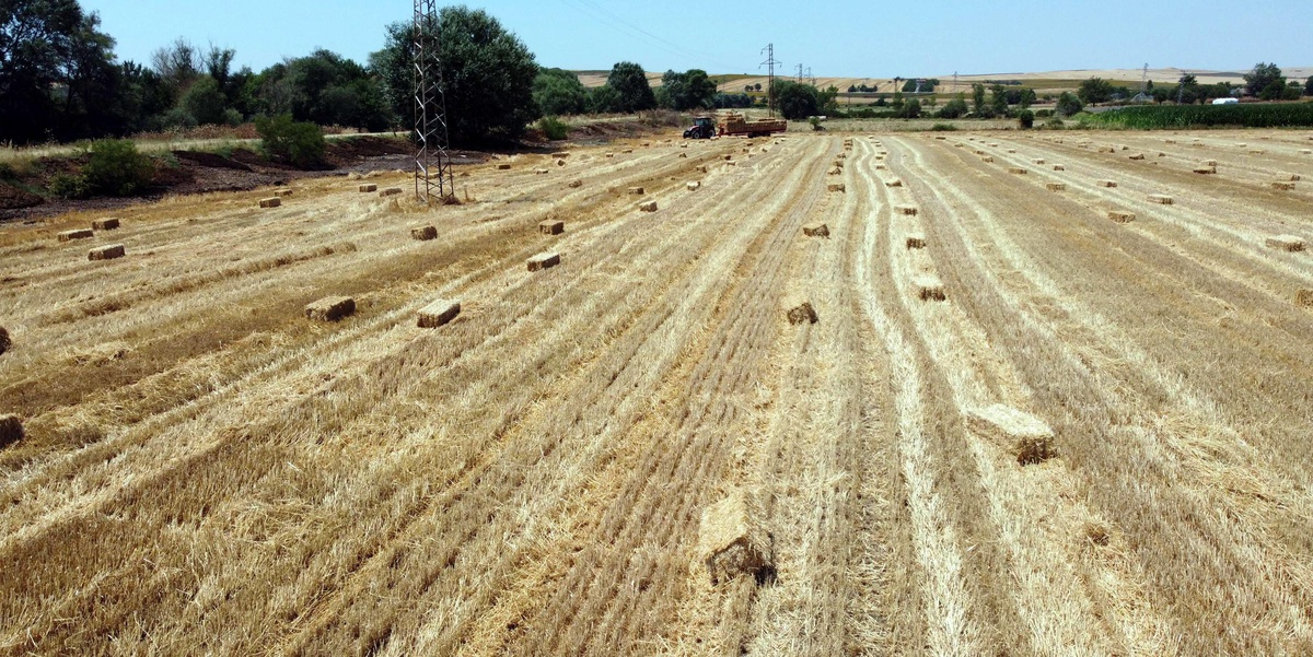 Tekirdağ\'da Orman Yangınlarına Yasaklama