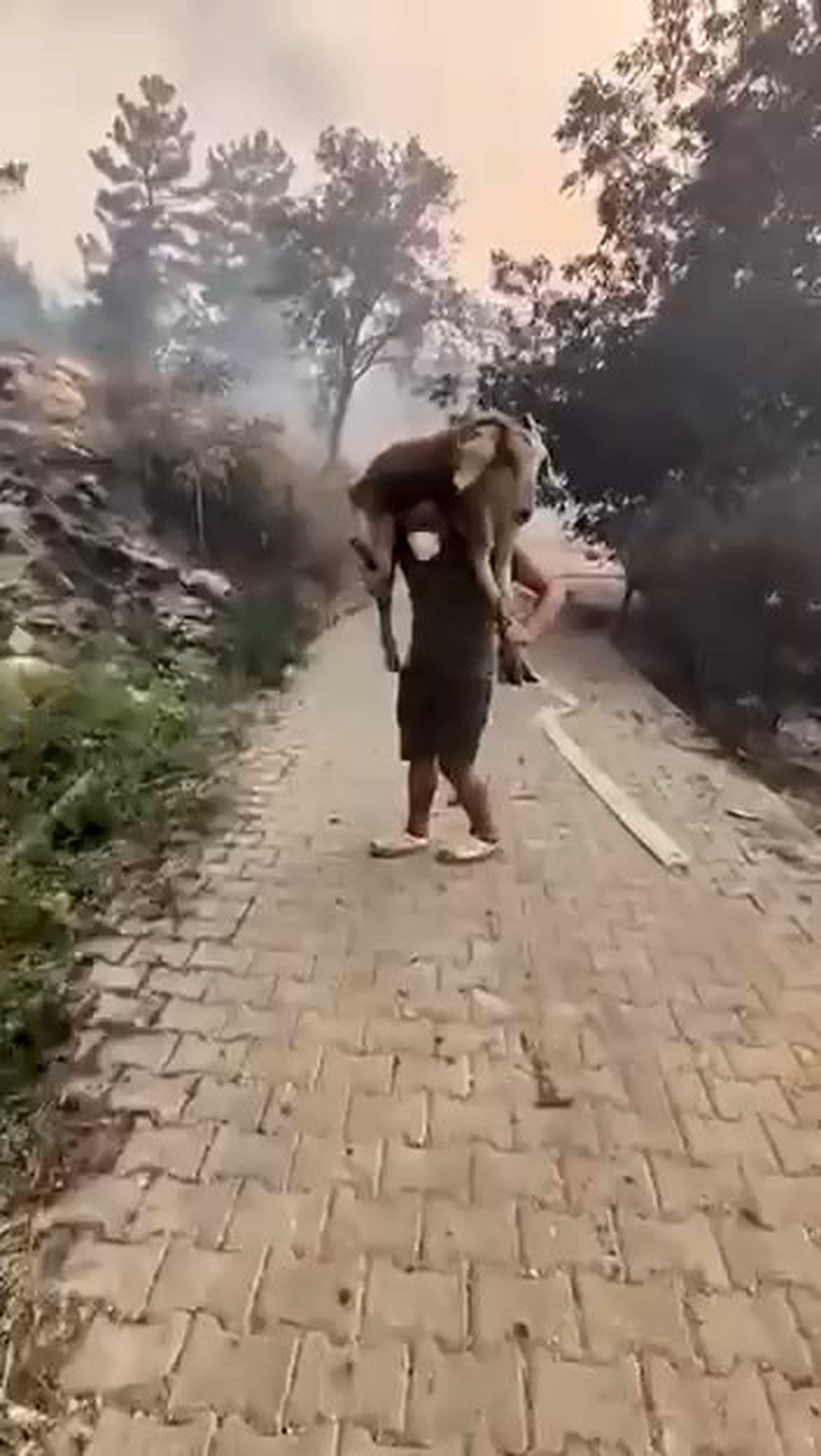 Yangından Keçiyi Kurtaran Vatandaş